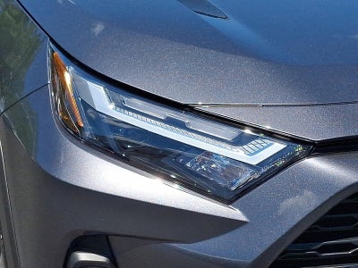 2025 Toyota RAV4 XLE Premium AWD (Natl)
