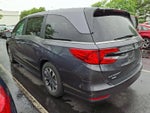 2024 Honda Odyssey EX-L Auto