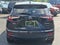 2019 Acura RDX AWD w/Technology Pkg