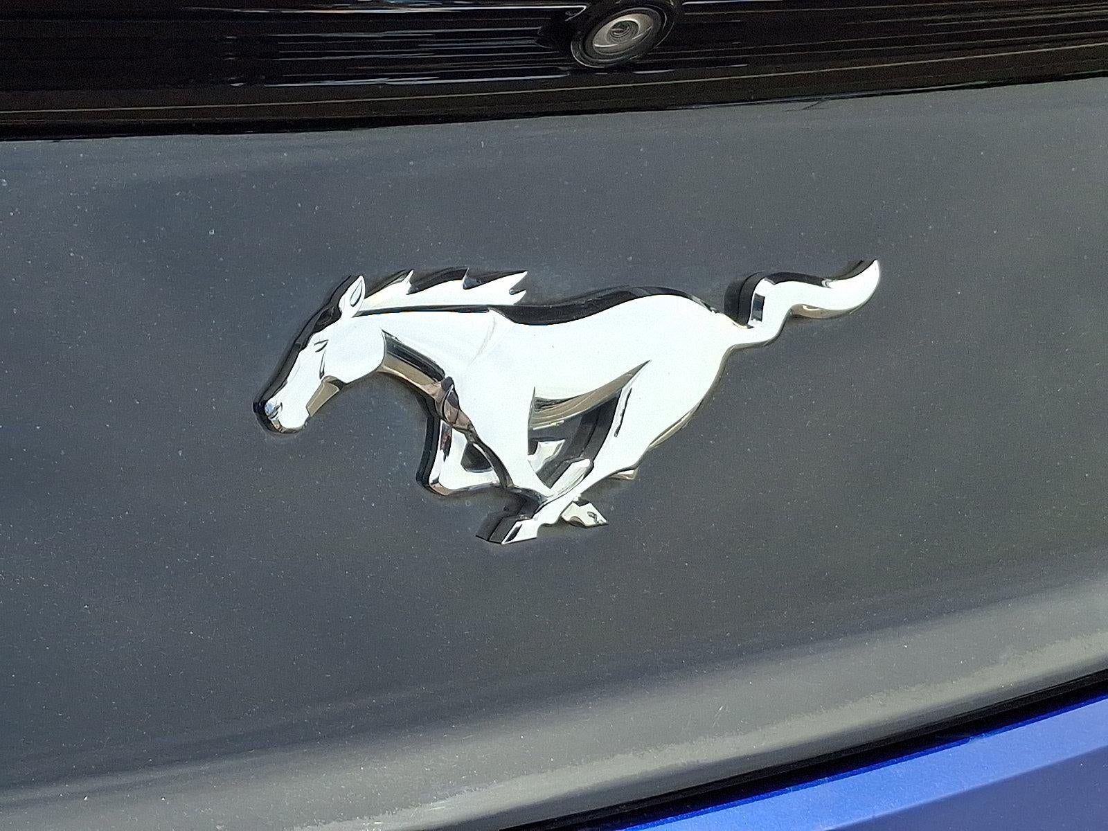 2016 Ford Mustang 2dr Fastback EcoBoost