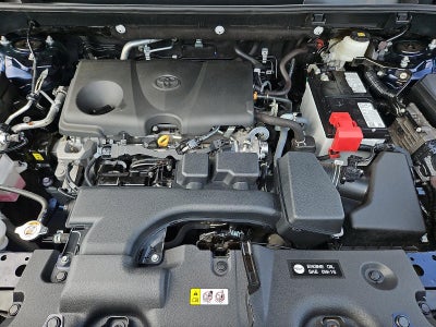 2024 Toyota RAV4 XLE AWD (Natl)