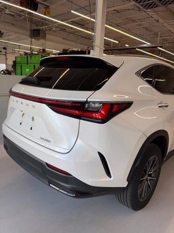 2022 Lexus NX 250 FWD