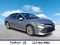 2019 Toyota Camry XLE Auto (SE)