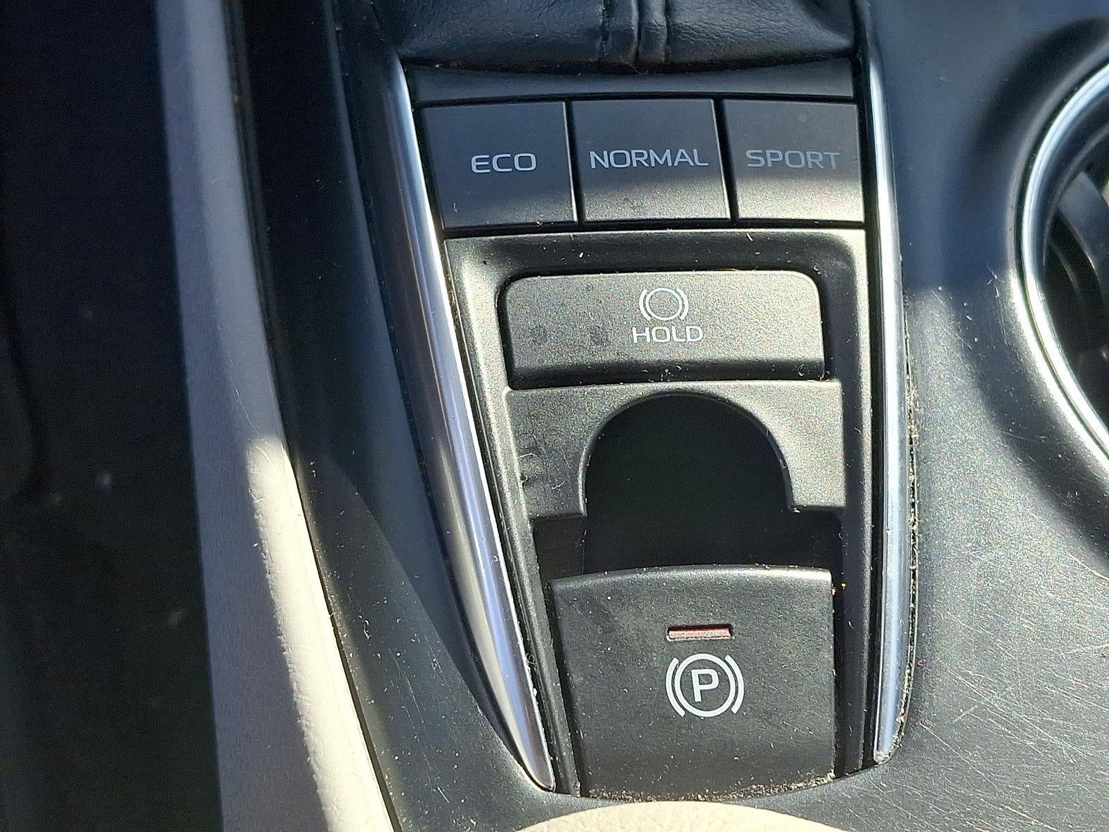 2019 Toyota Camry XLE Auto (SE)