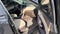 2017 Hyundai Santa Fe Sport 2.4L Auto AWD