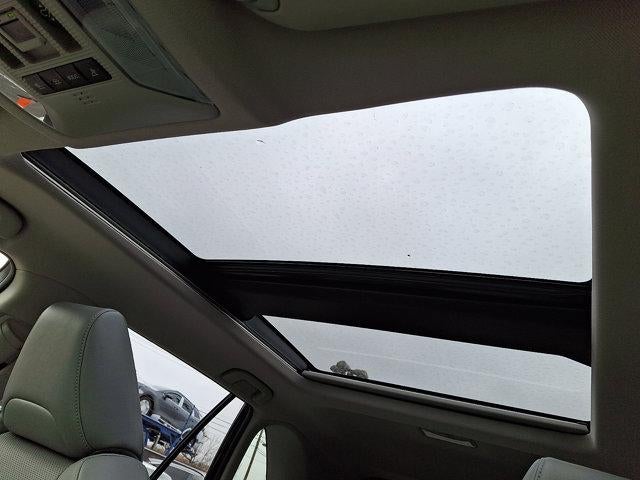 2021 Toyota RAV4 Hybrid Limited AWD (Natl)